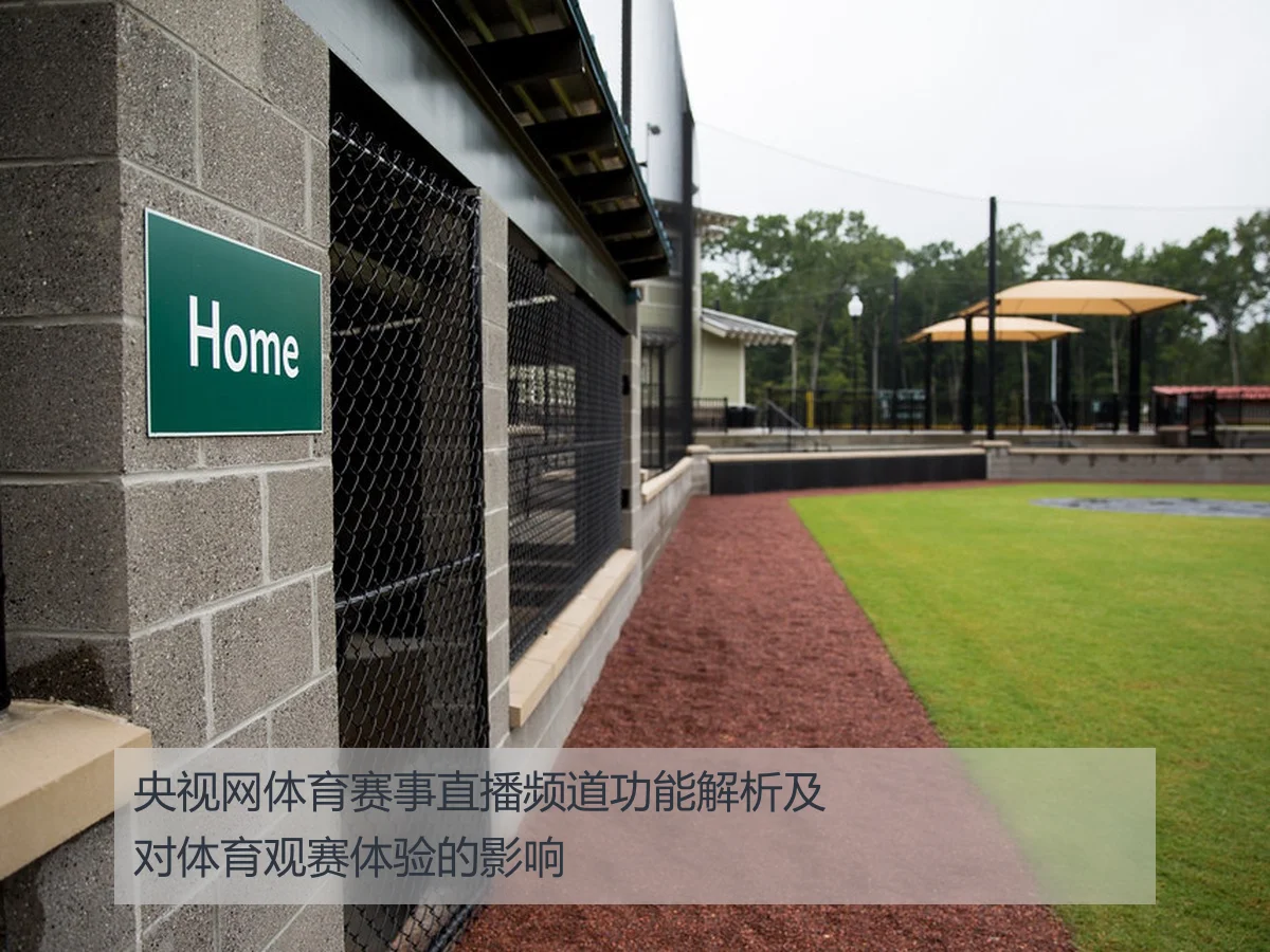 央视网体育赛事直播频道功能解析及对体育观赛体验的影响